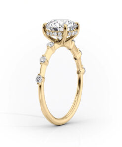 The Hidden Halo Penelope YG EM